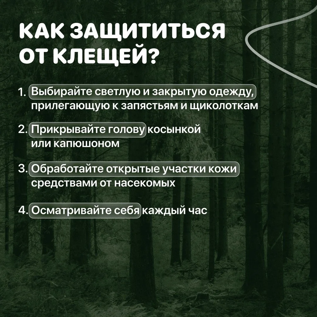 В году два пика активности клещей — в мае и августе. В это время особенно важно соблюдать меры предо