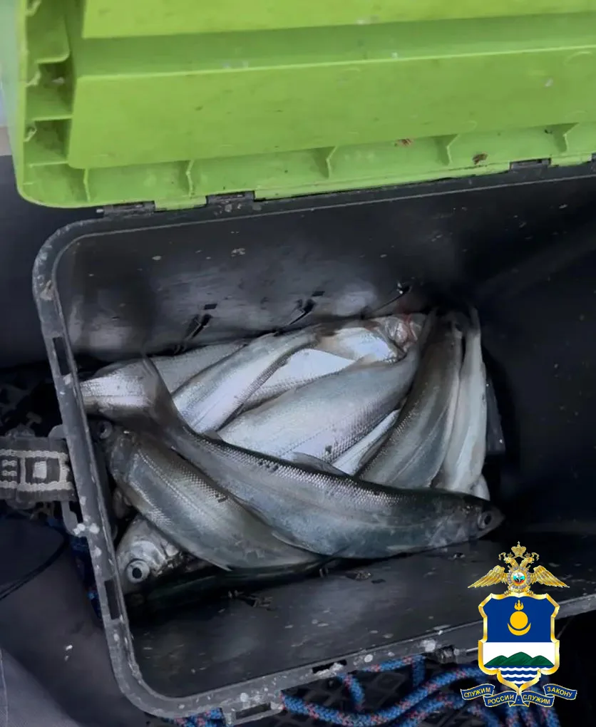👮‍♂️ В Бурятии продолжаются рейдовые мероприятия в рамках оперативно-профилактического...