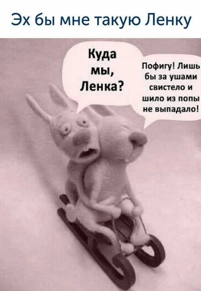 Юмор | Приколы | Мемы 👇🏻