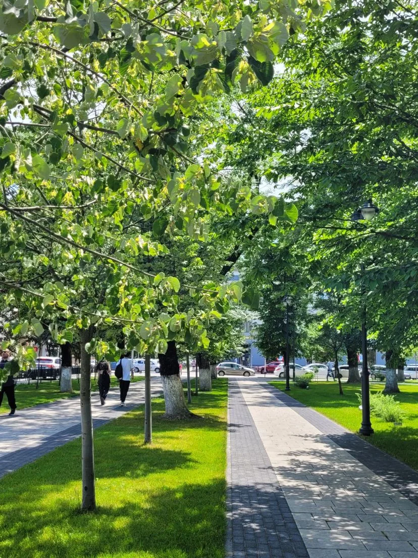 🌞 Доброе утро, Майкоп

Сегодня в городе температура воздуха поднимется до 25°С. Осадков не ожидаетс