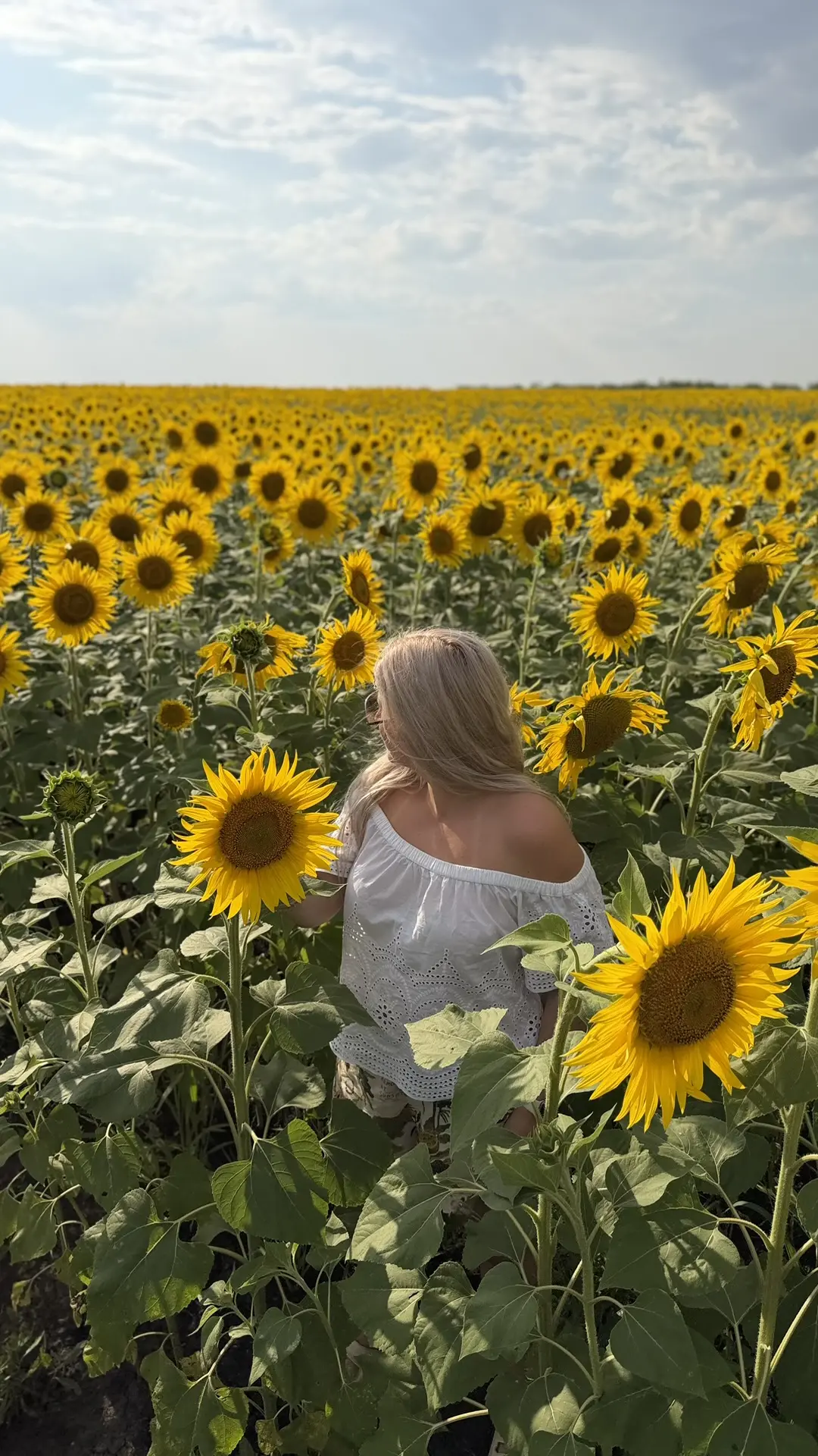 Все отчёты сданы, и я наконец разрешила себе немного отдохнуть, в том числе от професси...