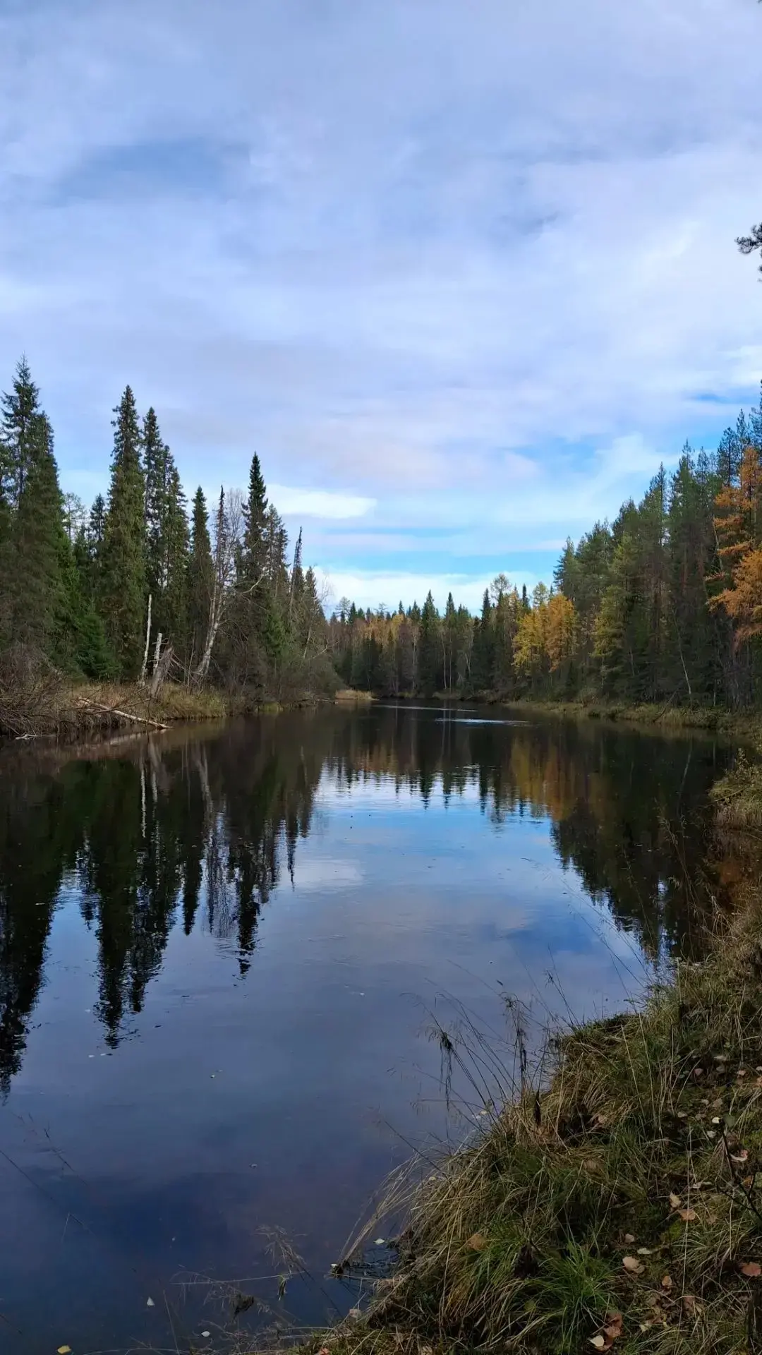 🎣 Пятница пришла — расчехляем спиннинги! 🌊🍂