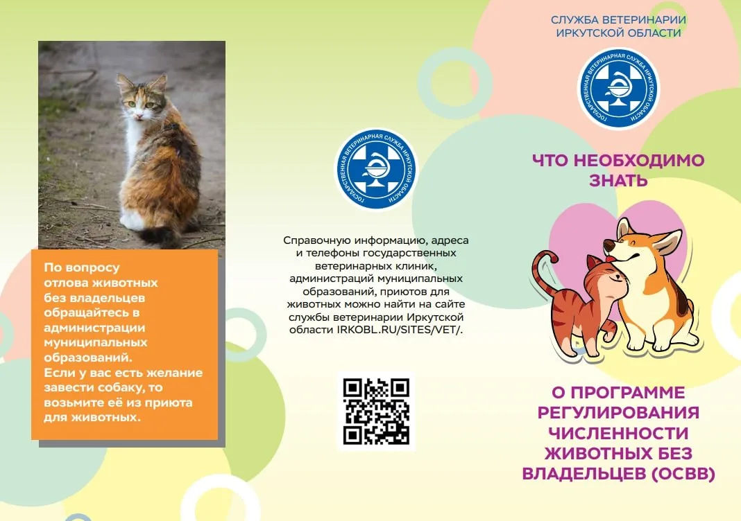 📣📣📣Внимание! Внимание!  ❗️ Важное напоминание для учащихся и родителей: правила поведения при встреч