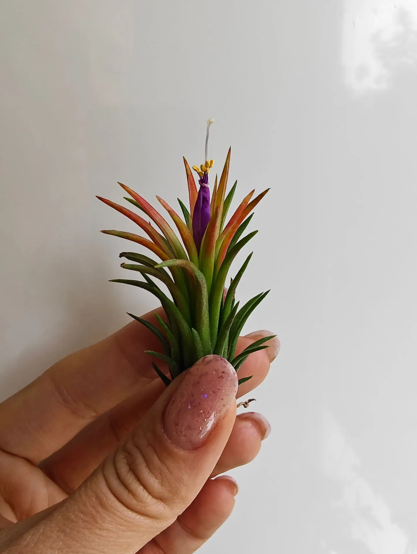 Чудо чудное, диво дивное😍