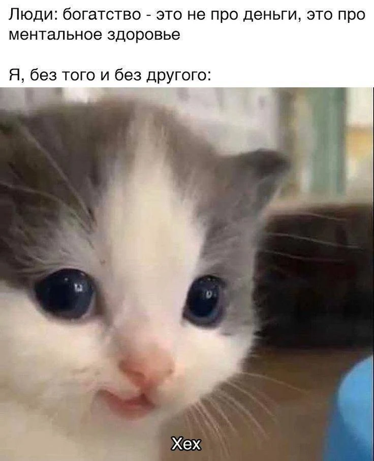 @memachh