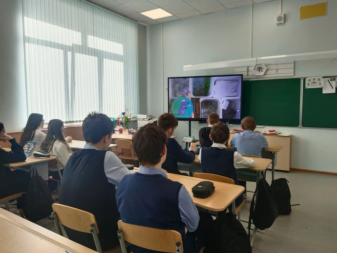 📣 Экоурок в 7 «В»: учимся раздельному сбору отходов!  Ученики 7 «В» класса провели познавательное за