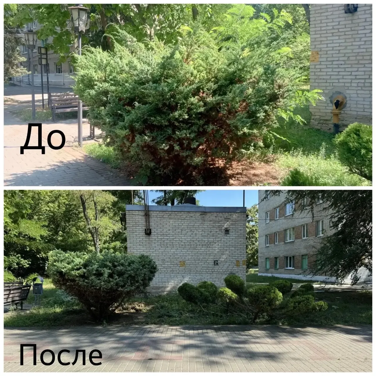 Университет встречает студентов во всей красе! 🌿