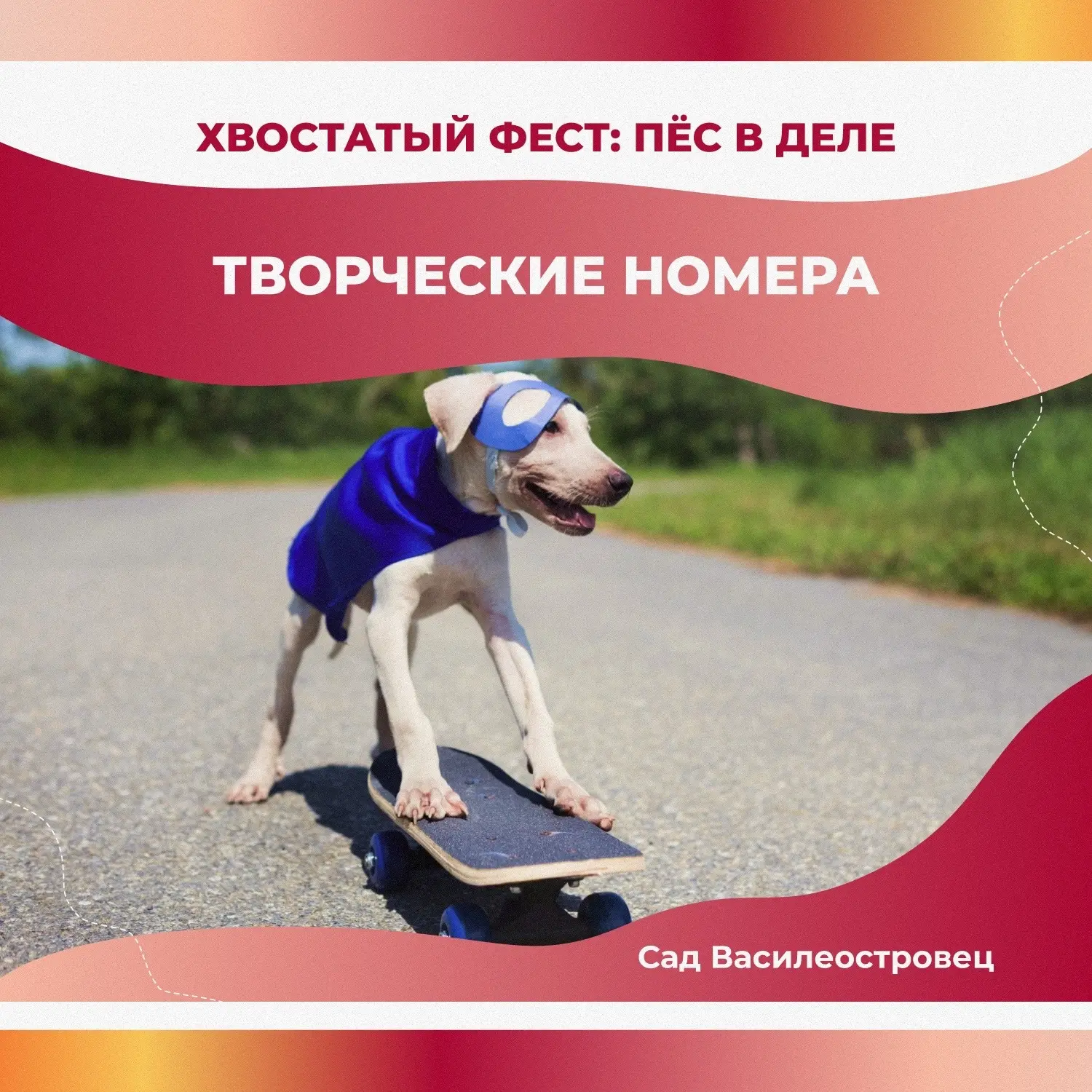 🐶☀️ Хвостатый фест возвращается!

Готов ли ты провести летний день в компании собак, улыбок и хорош