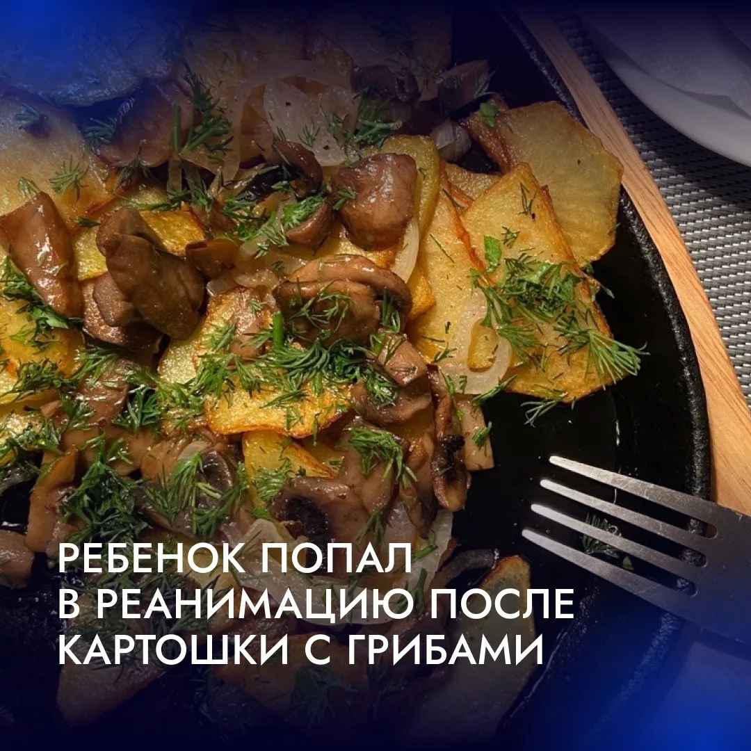 🍄‍Семейный ужин с грибами закончился реанимацией для матери и ребенка.