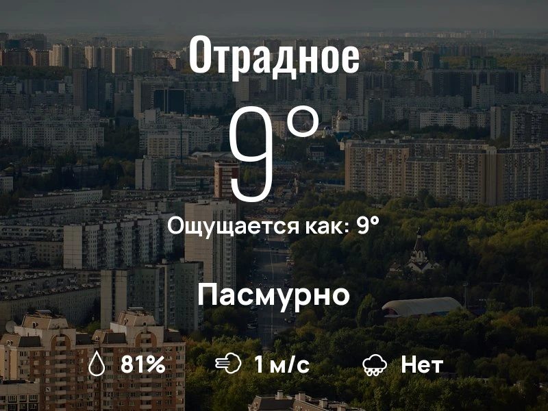Что с погодой в Отрадном?
