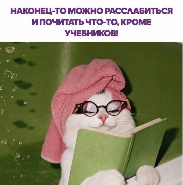 Каждый учитель летом 😅