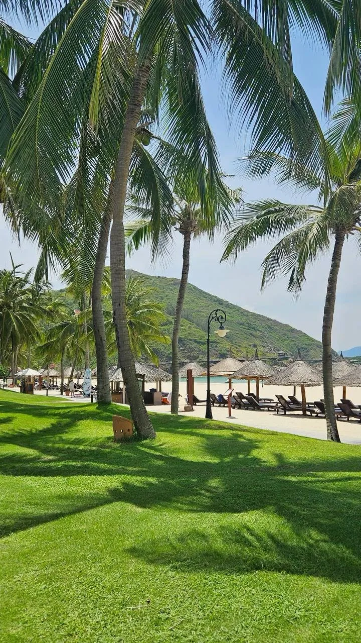 Вьетнам 🇻🇳