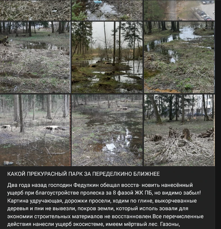 ЗАЧЕМ ОНИ УНИЧТОЖАЮТ ПРИРОДУ?  Οксана Αртемьева Добрый день! Согласно информации, предоставленной ГБ