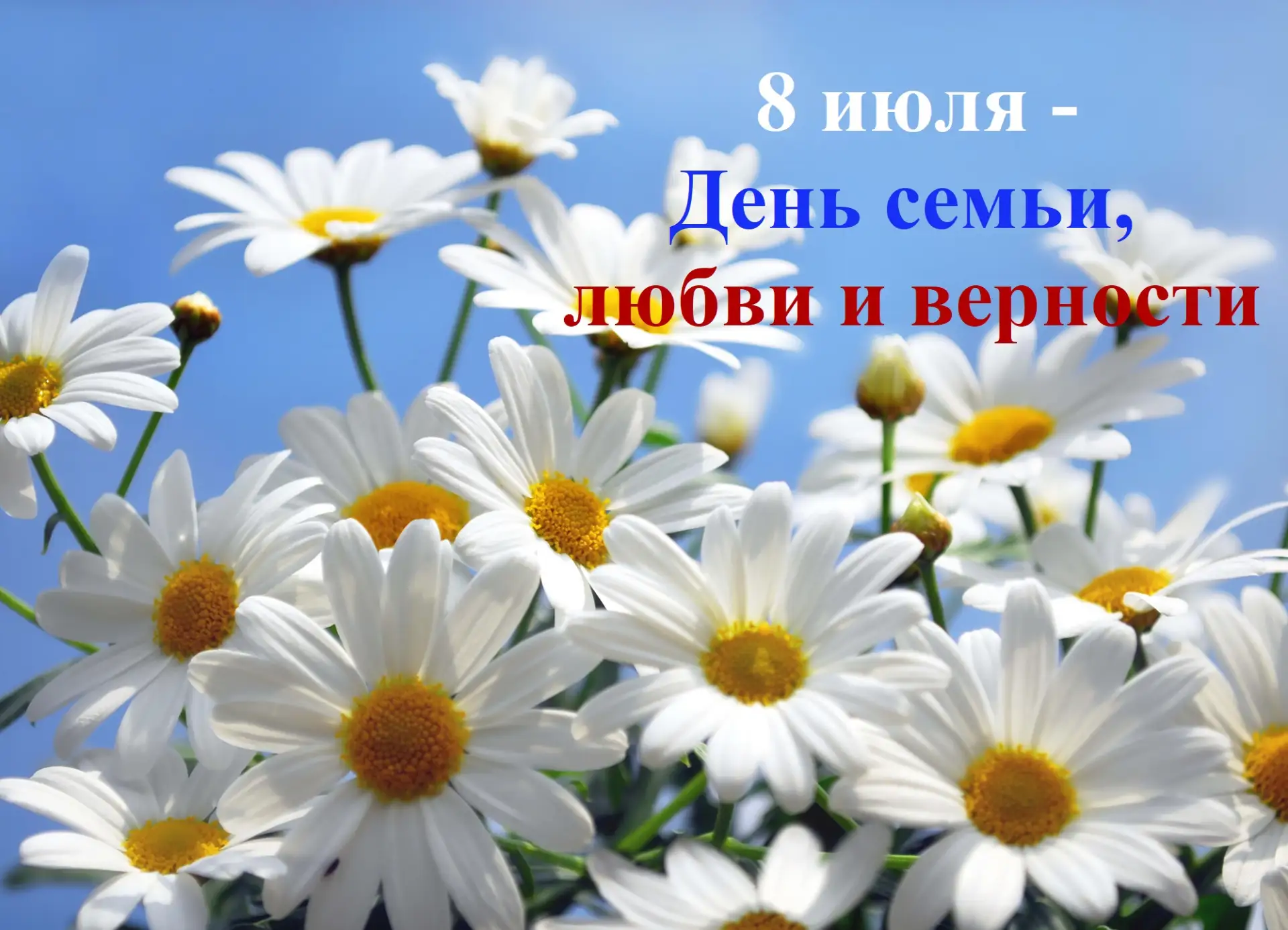 В Алексинском музее отметили День семьи, любви и верности
8 июля 2026 года в Алексинском художествен