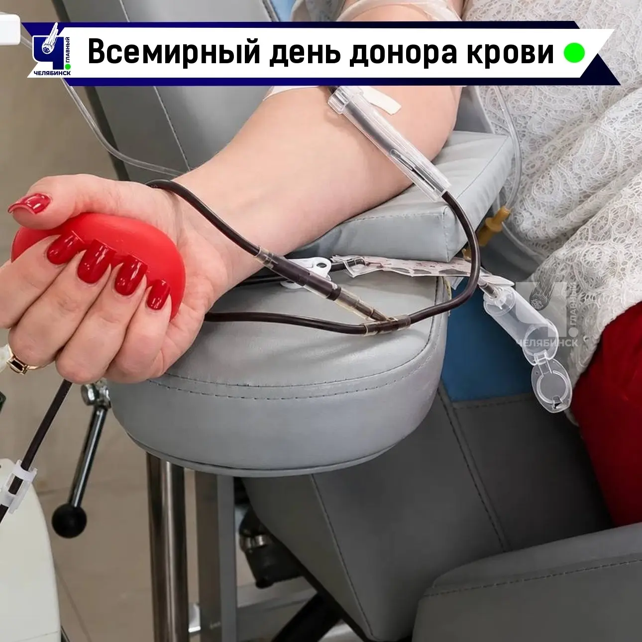 🩸 Сегодня отмечают Всемирный день донора

За доброе дело россиянам полагаются не только выходные, н