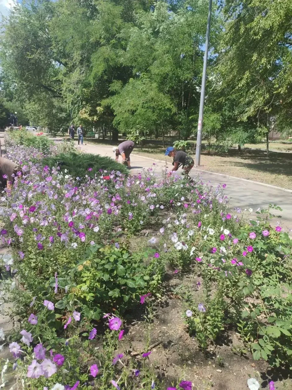 ‼️‼️ «Зеленхоз» поддерживает красоту на улицах Бердянска