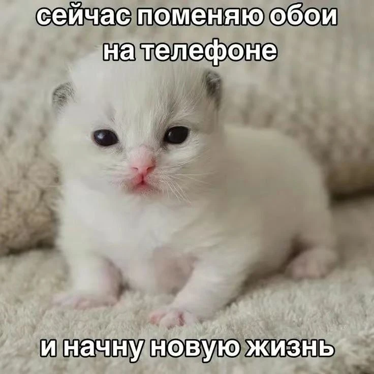 Это твой 😂 Злой юмор. Подключайся!