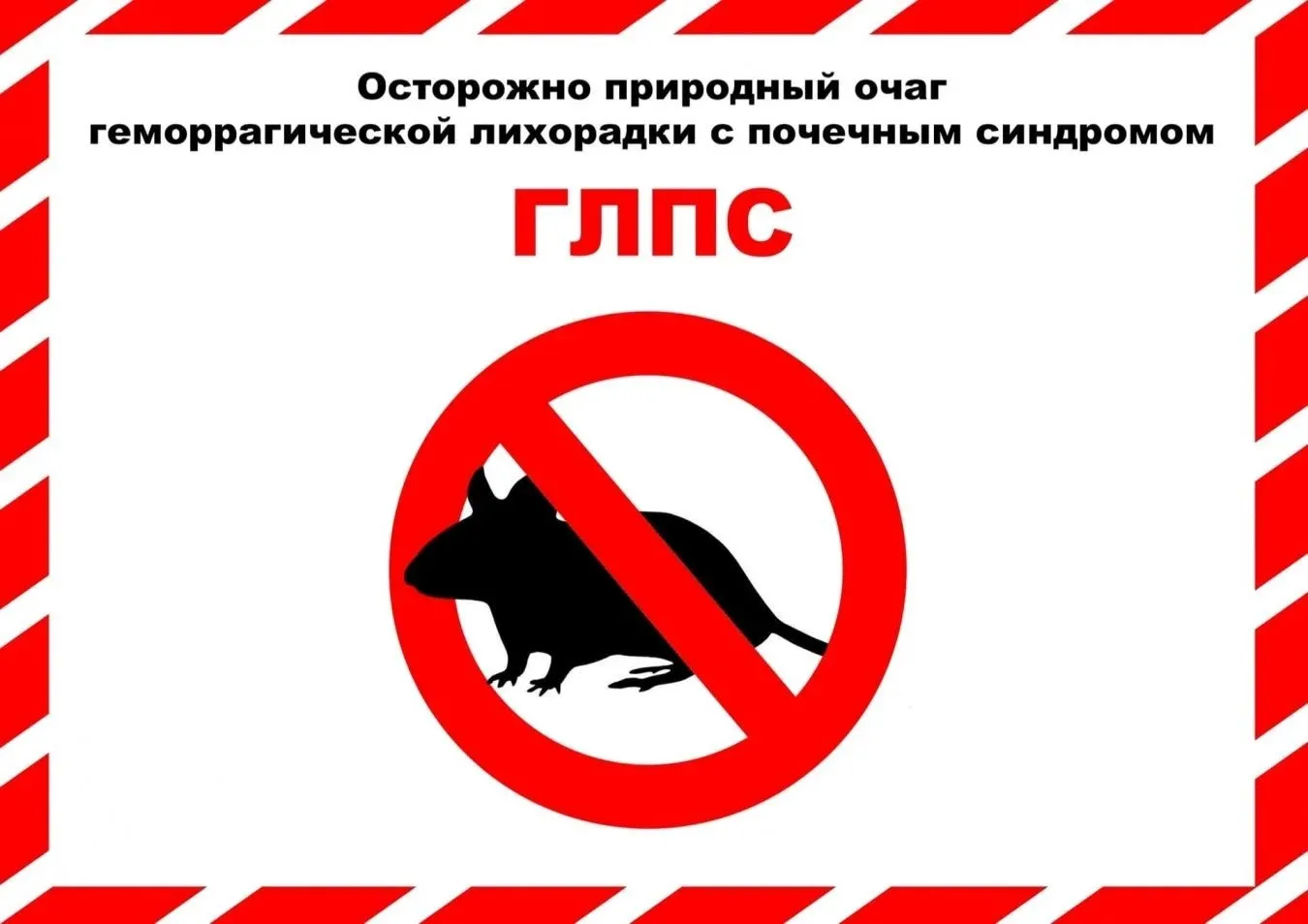 Профилактика геморрагической лихорадки с почечным синдромом❗