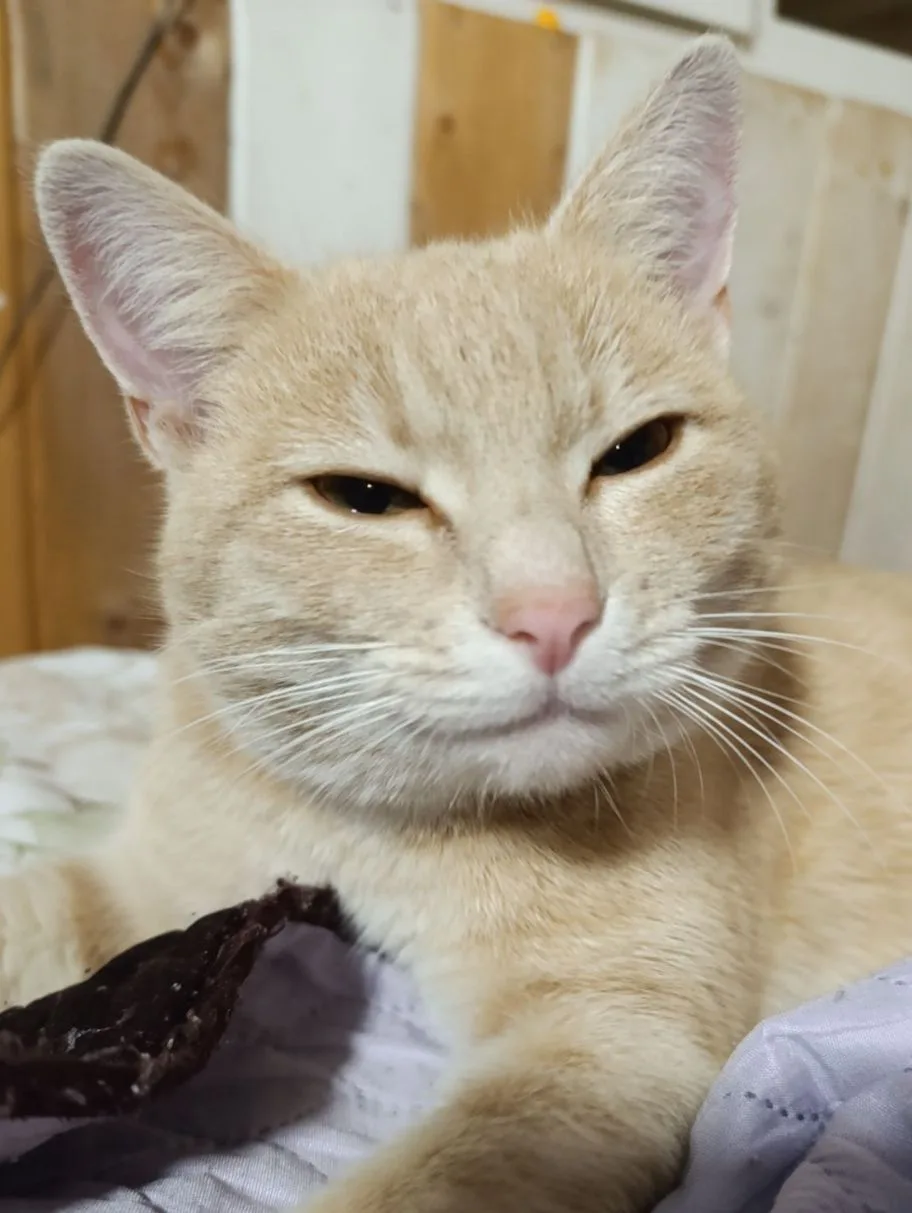 Наша милота 🥰