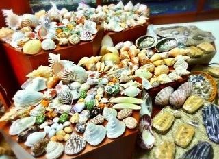 🍍⛱Пхукет- это настоящий рай🦀