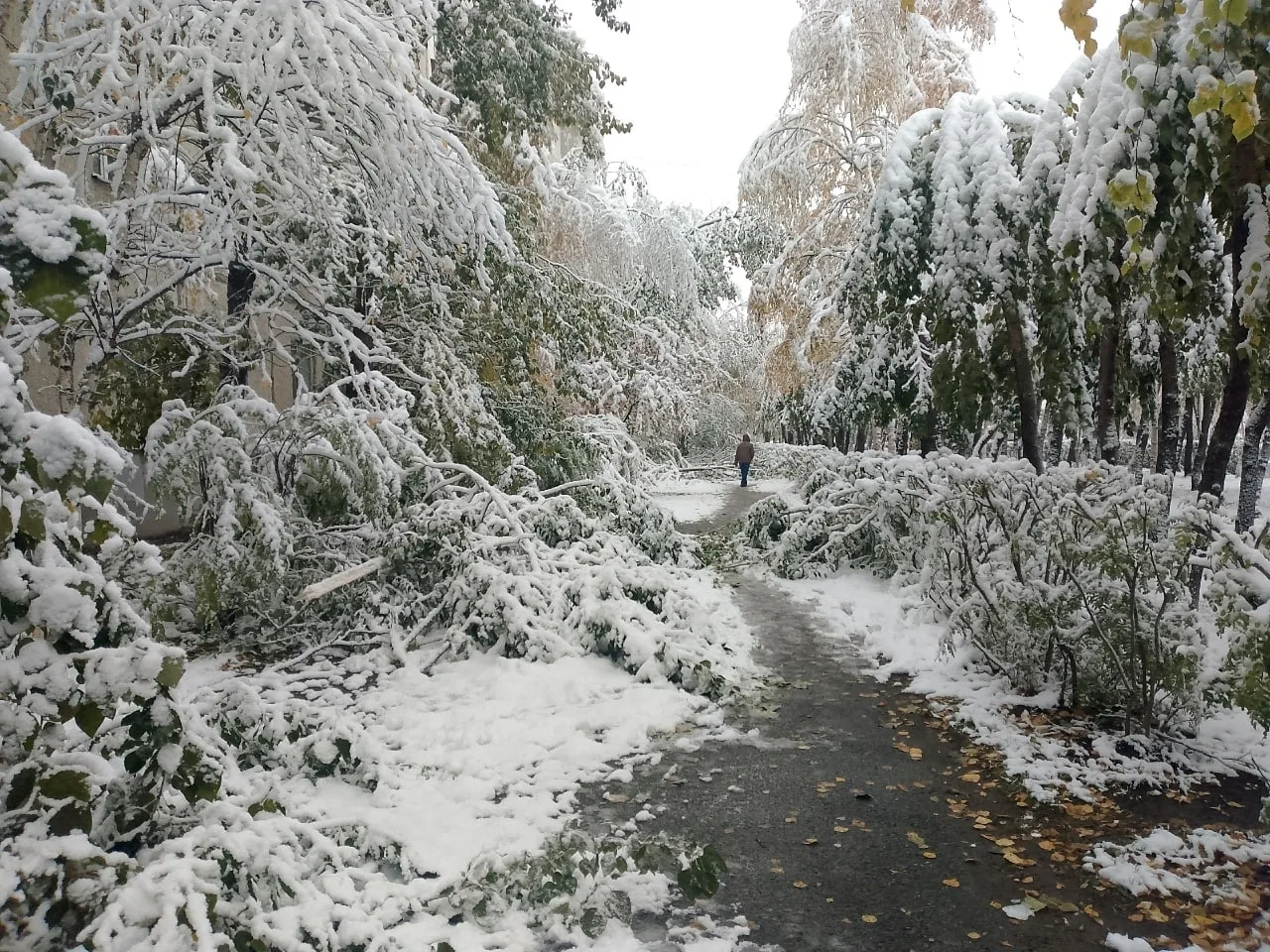 🌨Вчерашний снегопад в Сургуте оставил после себя последствия