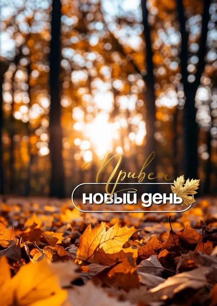 💖 Всем доброго ласкового осеннего дня! ☀️🍁🍂