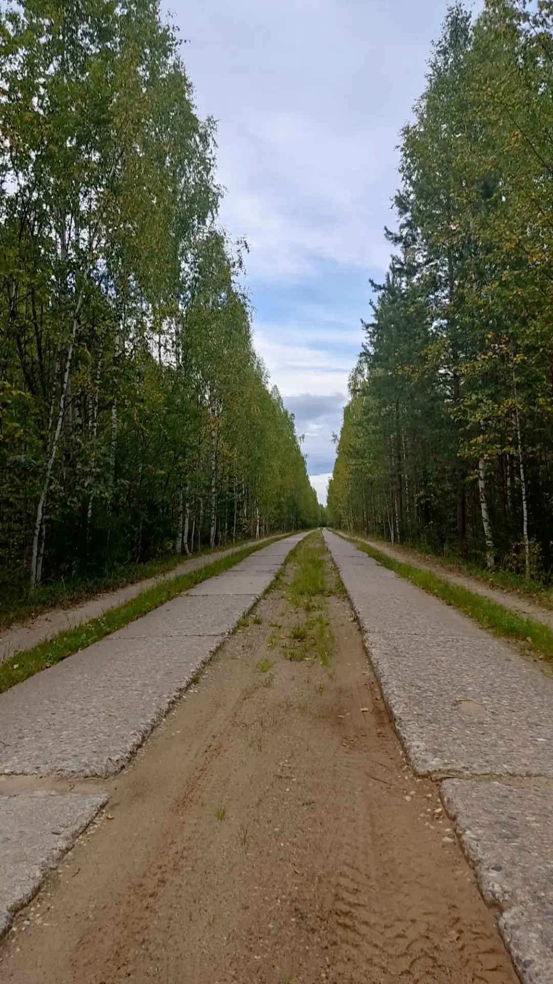 💥Бетонка - лесная дорога Гайнского округа