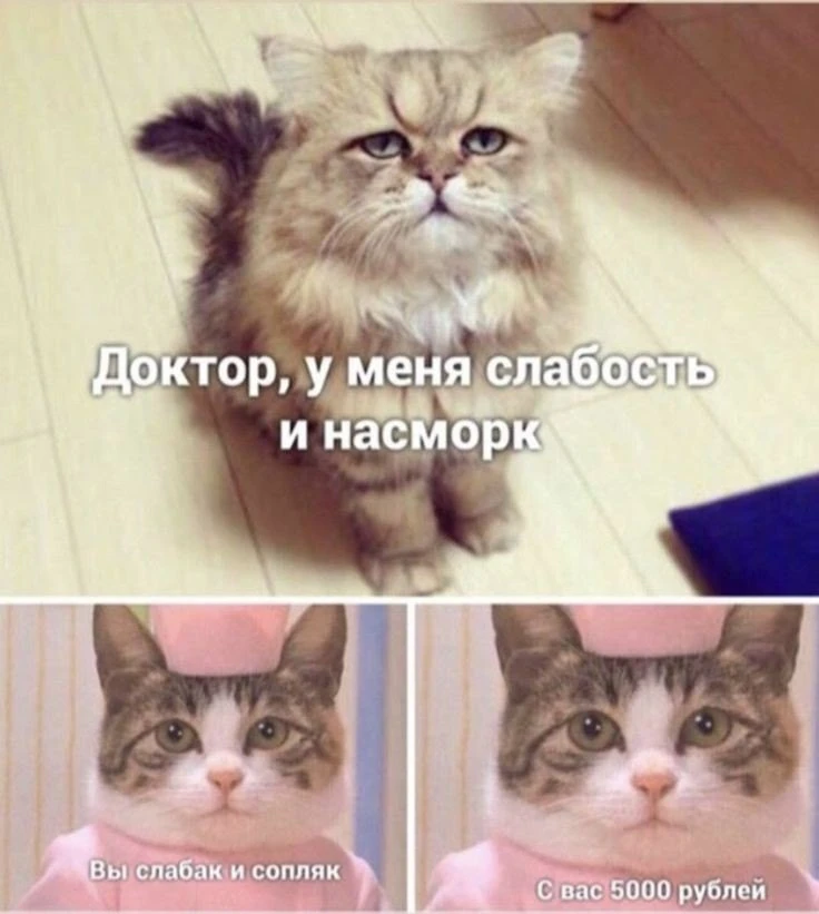 Фото
