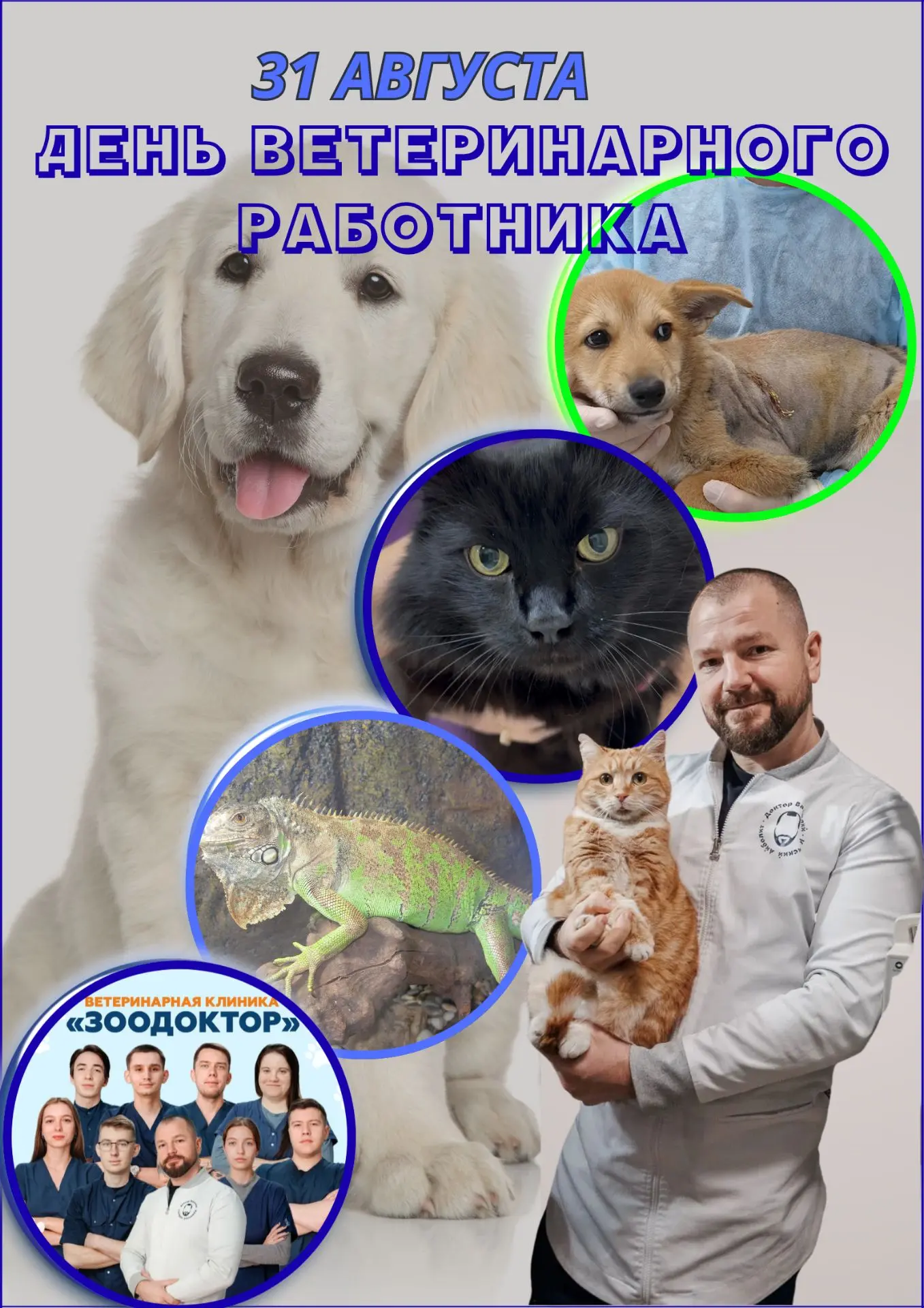 ️ 🎉 С ДНЁМ ВЕТЕРИНАРНОГО РАБОТНИКА!