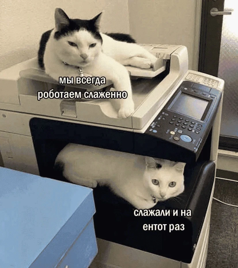 Дружный коллектив дружно косячит.