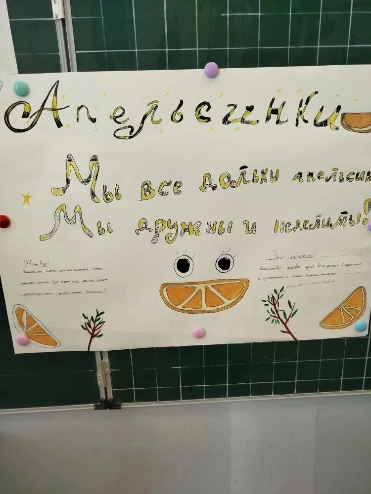 🎉 Отряд «Апельсинок» ЛДП казачьей школы № 3 создал свой фирменный плакат!

Яркие краски, весёлые ид
