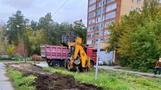 Сиреневый спуск в Новосибирске украсят молодыми яблонями
