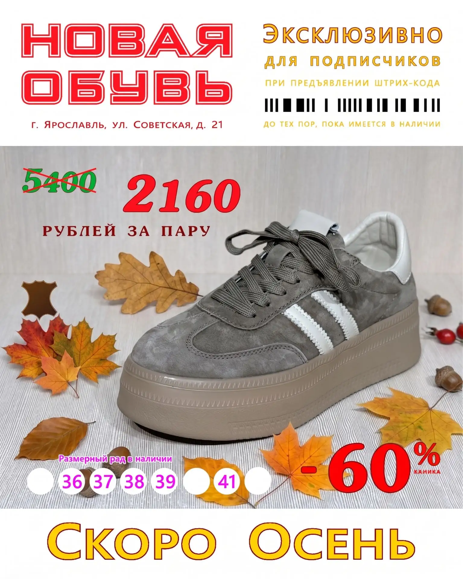 Дорогие подписчики ❗️