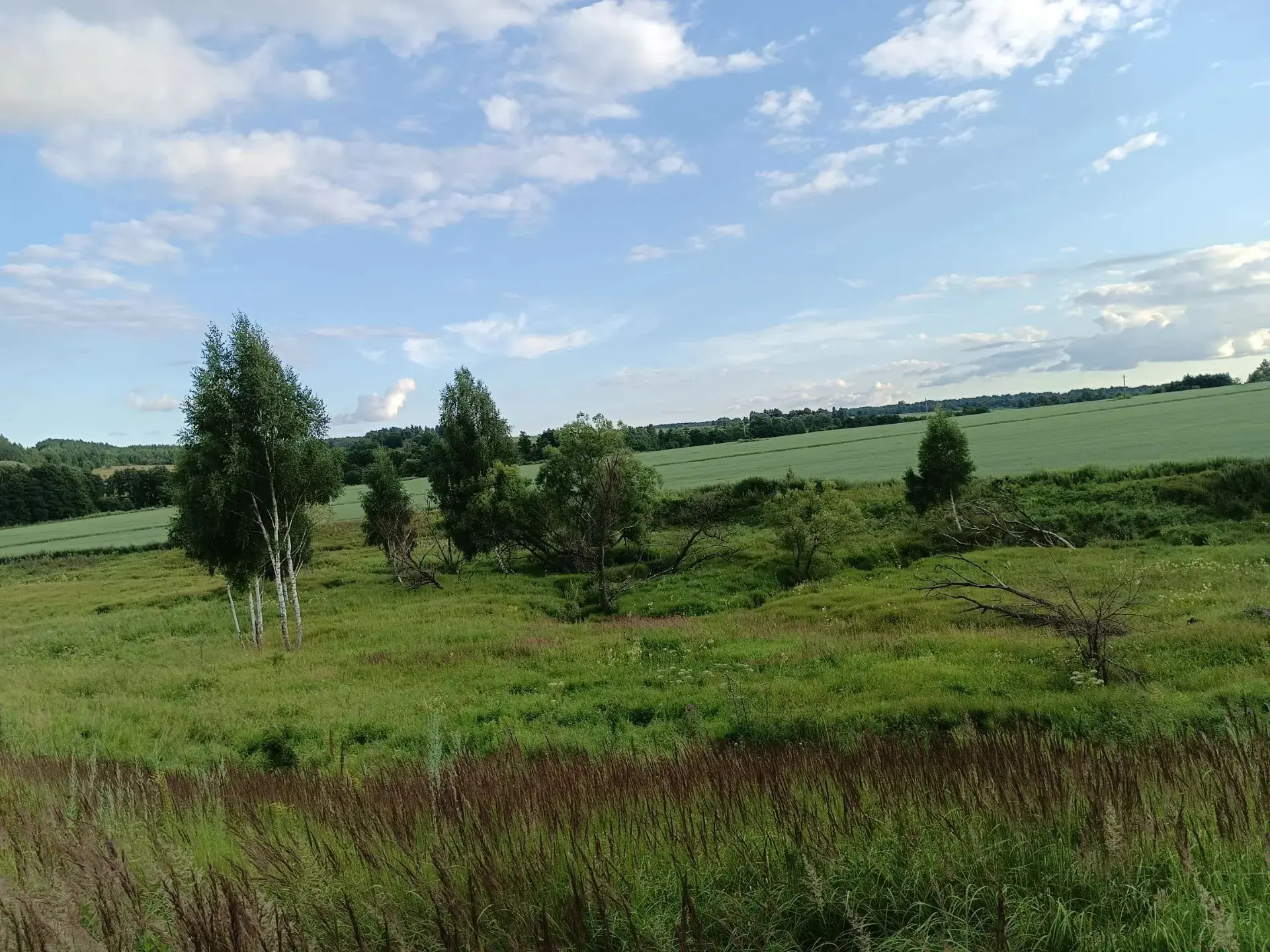 📸️Июль уходит, но мы успели поймать его красоту🌳🌇