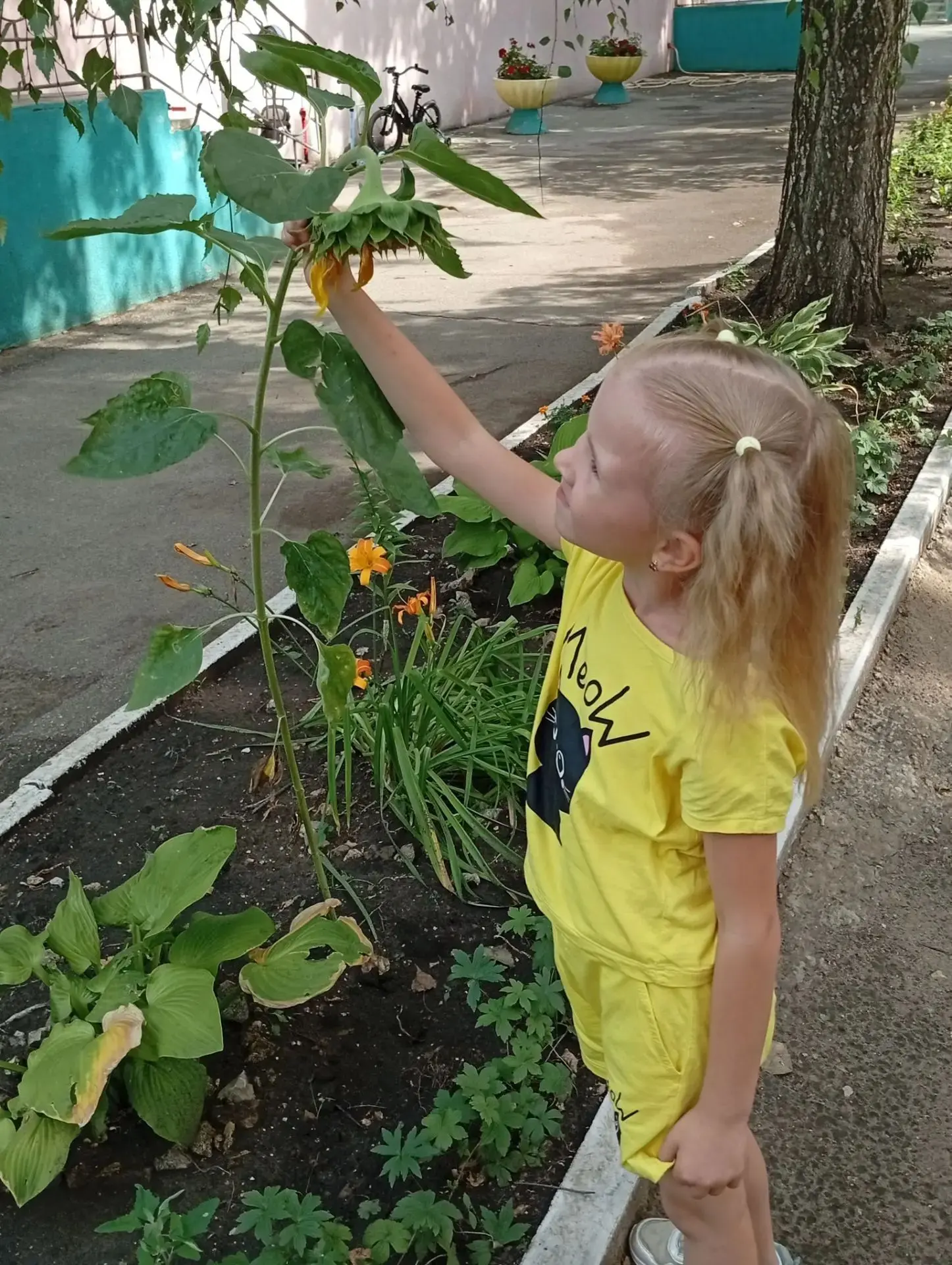 🌿Прогулка на свежем воздухе

😉На прогулке дел немало, 
🌼На прогулке много дел —
👫Дети мелом рисо