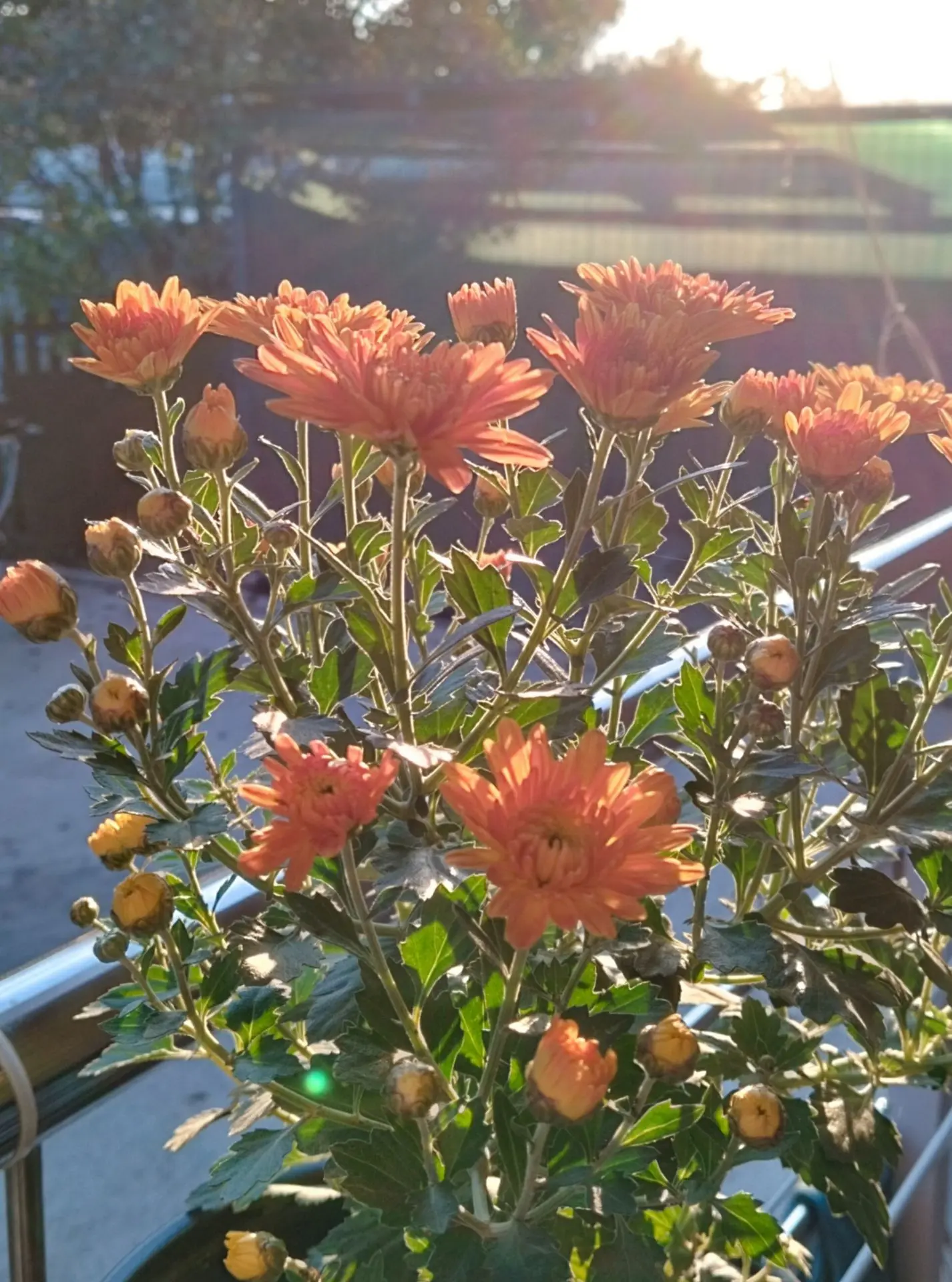 Доброе утро!☀