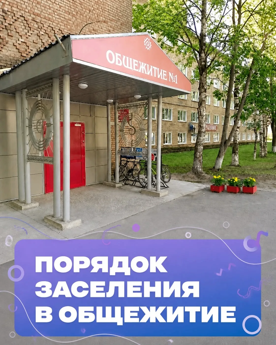 Добро пожаловать в общежитие! 🙌