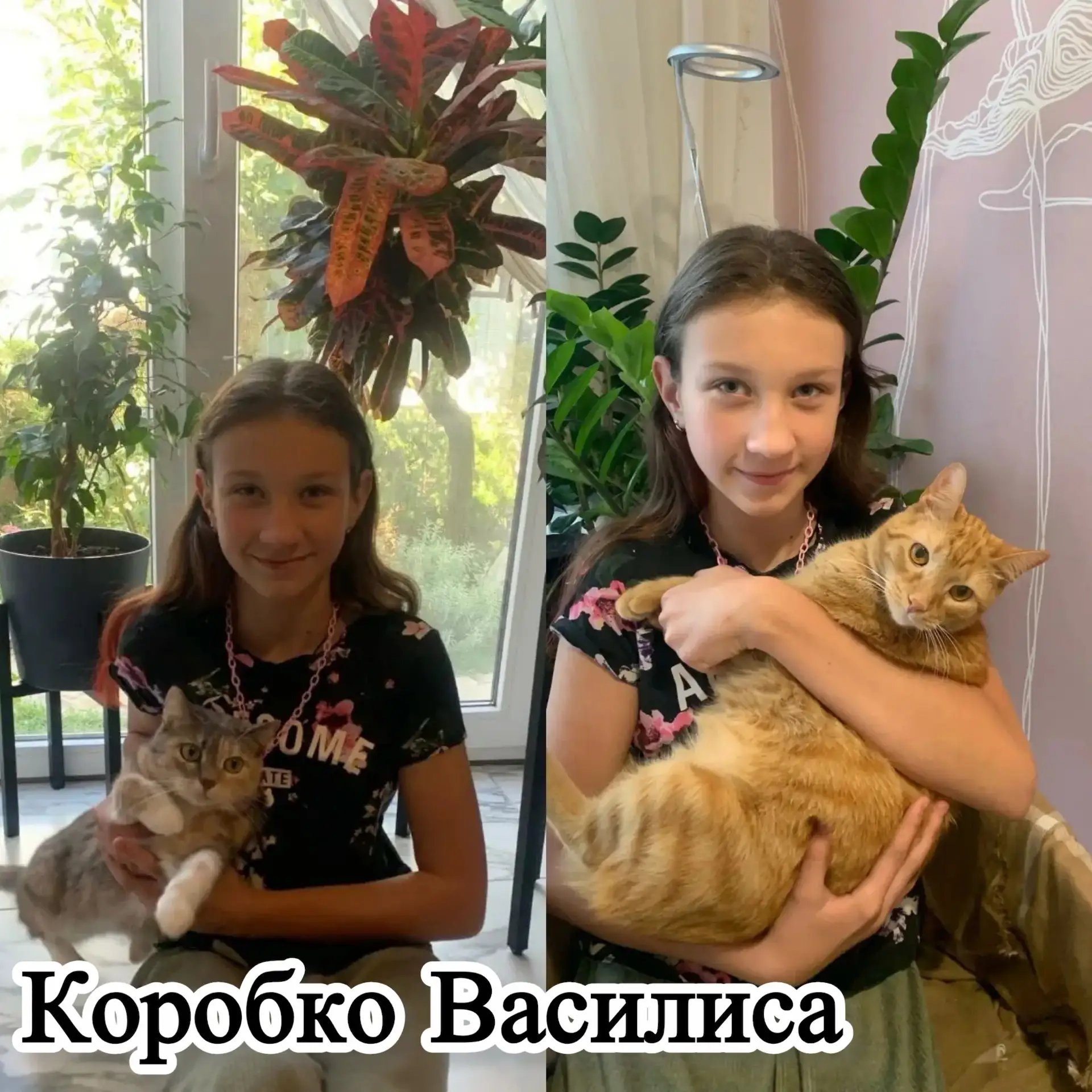 Участники онлайн-акции «Усатый нянь»🐈🐶