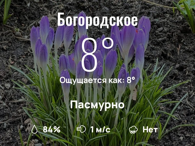 Что с погодой в Богородском?