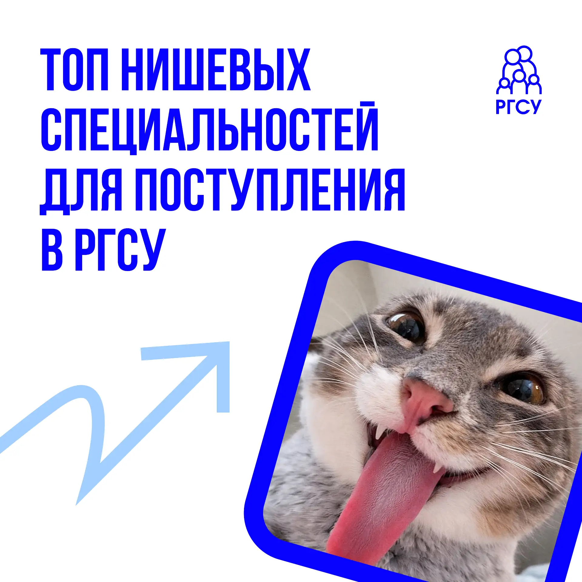 Если бы персонажи из поп-культуры поступали в РГСУ, у каждого из них было бы свое идеальное направле