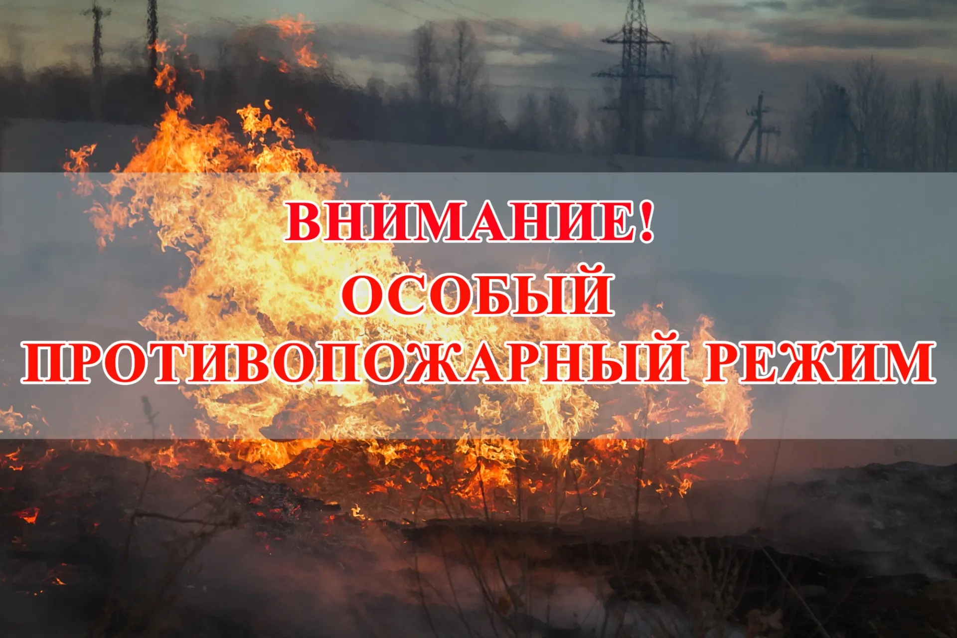 ❗️С сегодняшнего дня в Зеленогорске введён особый противопожарный режим❗️