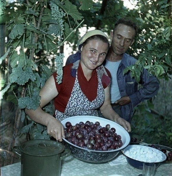 Дары природы