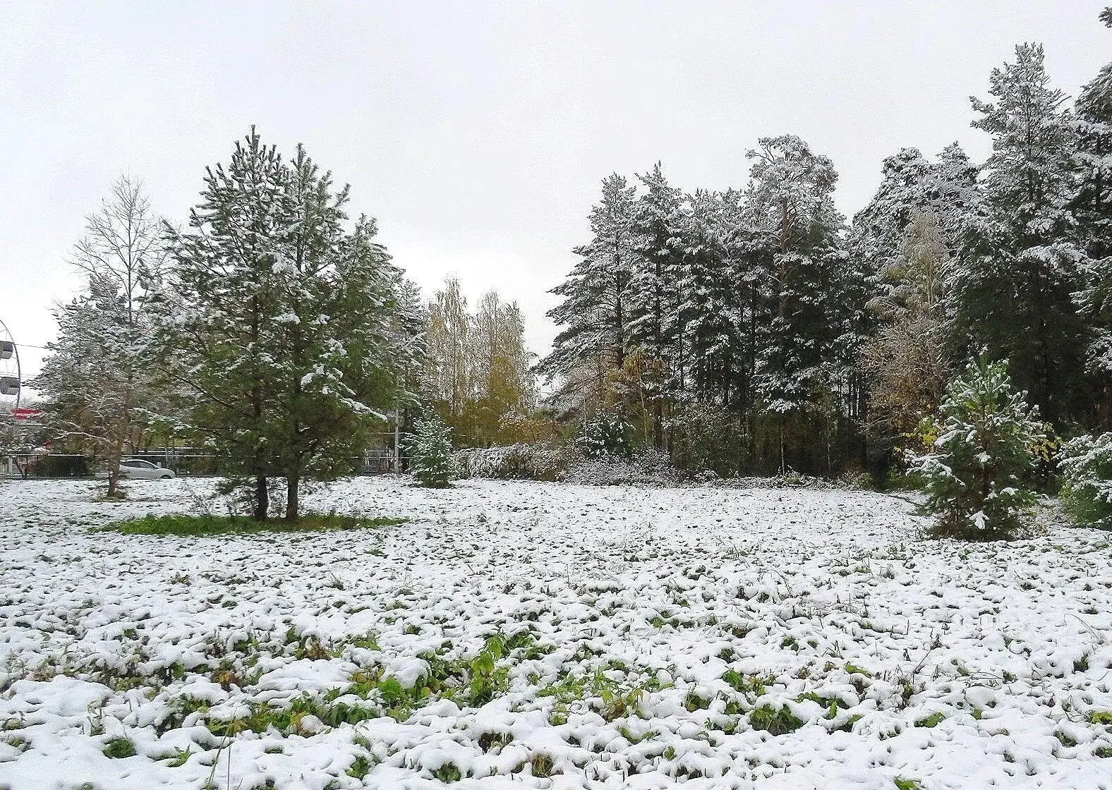 Город припорошило ❄ ❄ ❄