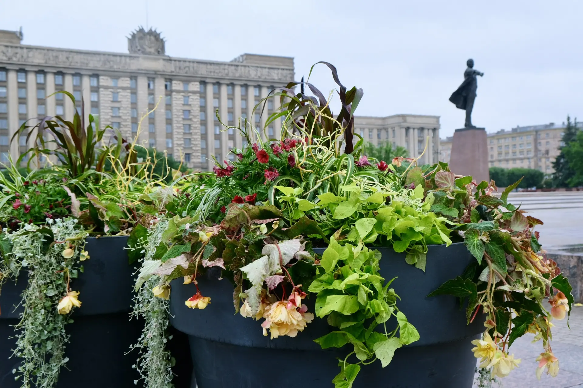 🌺 На Московской площади появились летние вазоны

Специалисты садово-паркового предприятия «Южное» з