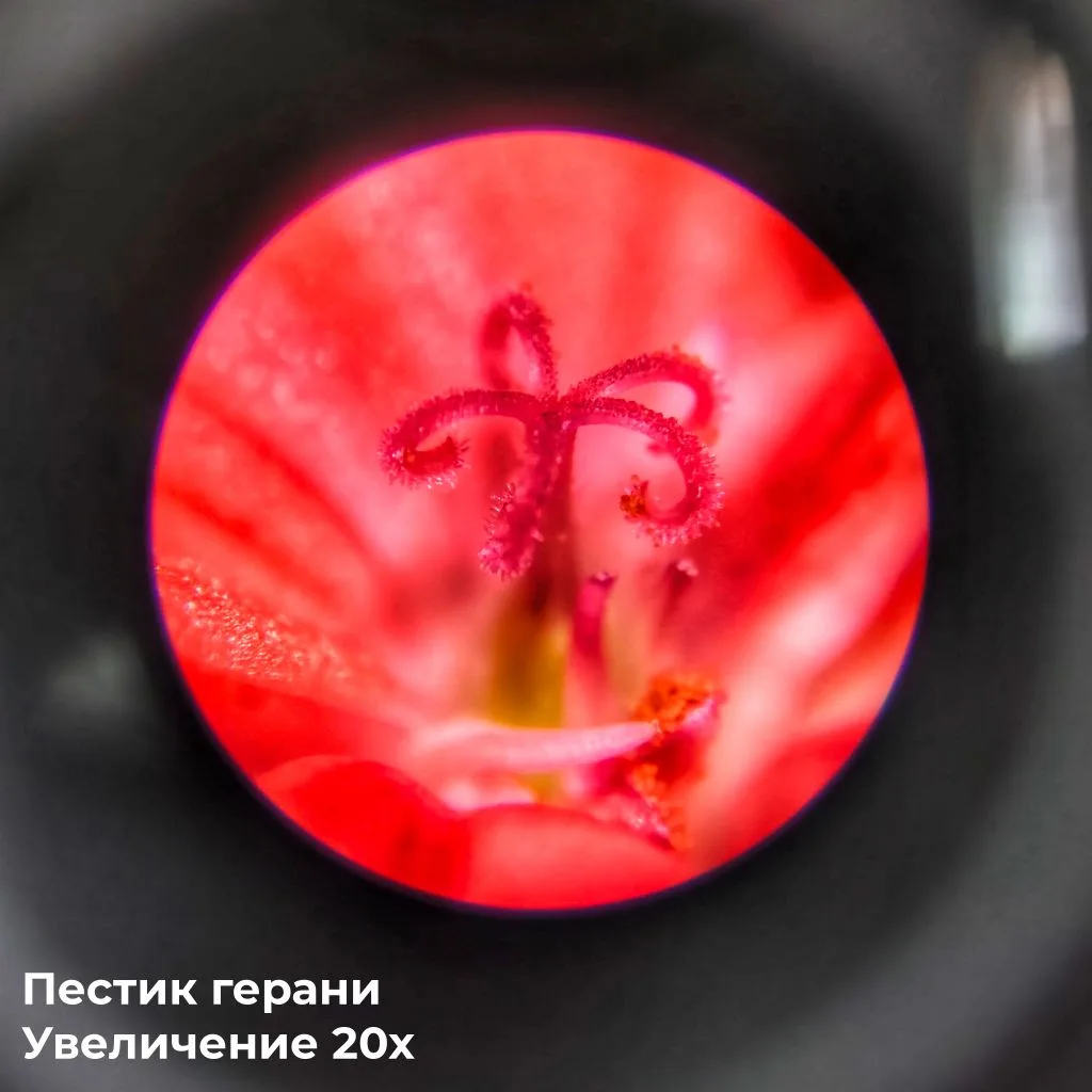 Очередной день в Учебном июне в «Терре» раскрыл перед ребятами скрытые от глаз грани пр...
