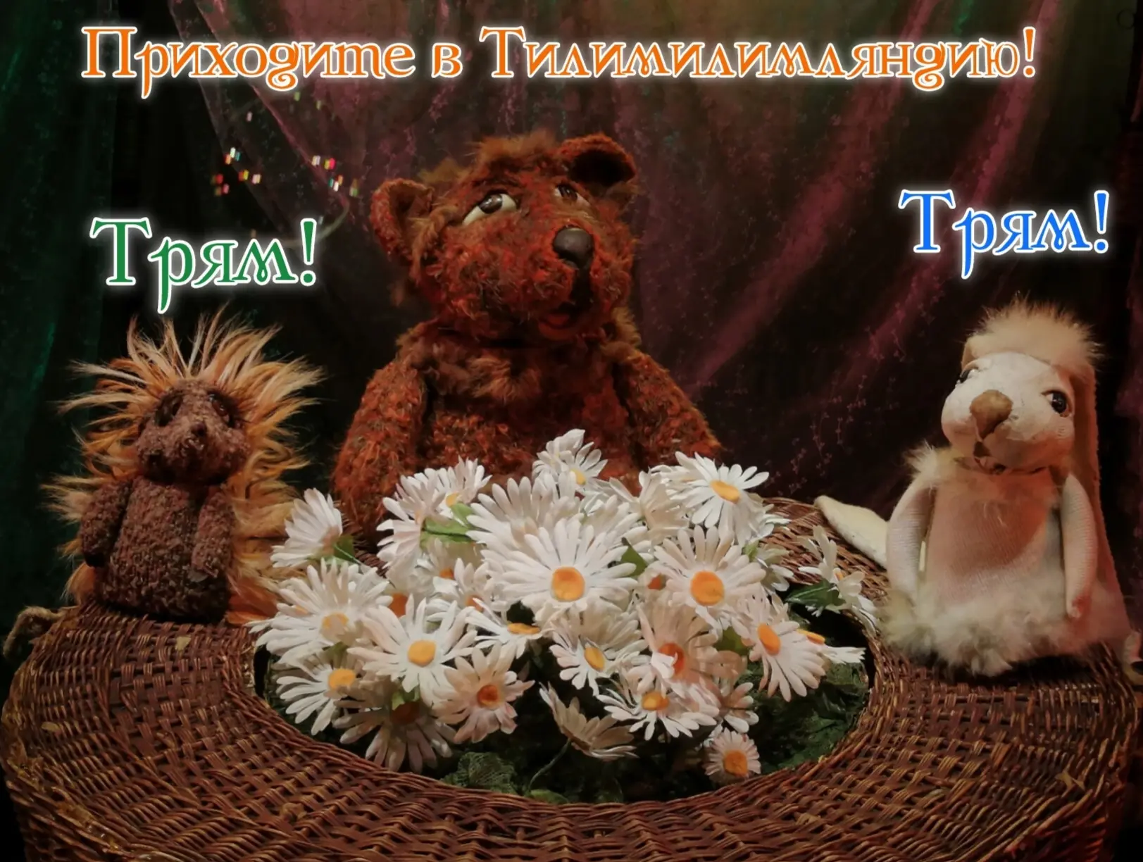✨БИЛЕТЫ ✨