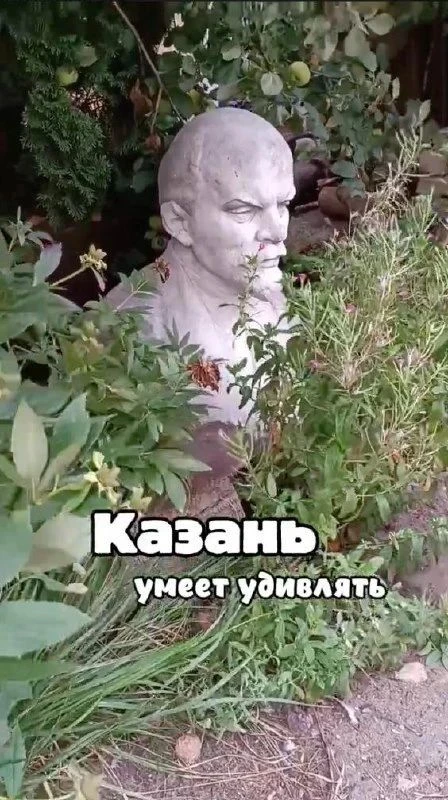 🌿 Казань умеет удивлять