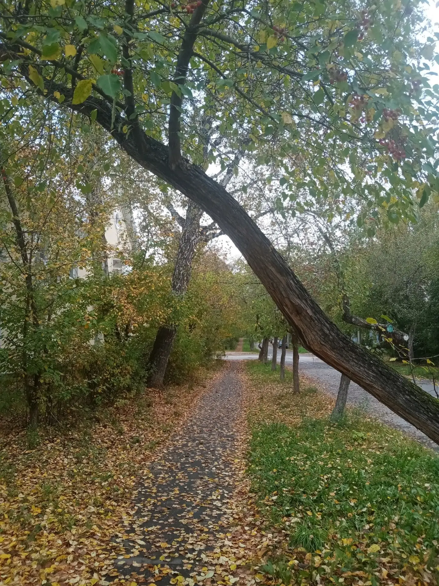 Доброе утро, Озерск.