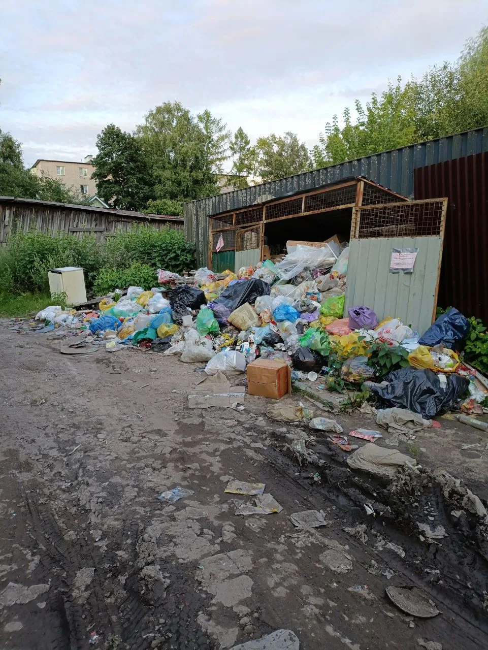 Крик отчаяния: между вонючей свалкой и протекающими трубами

Возле дома 29 по ул. Рабочая разрастает