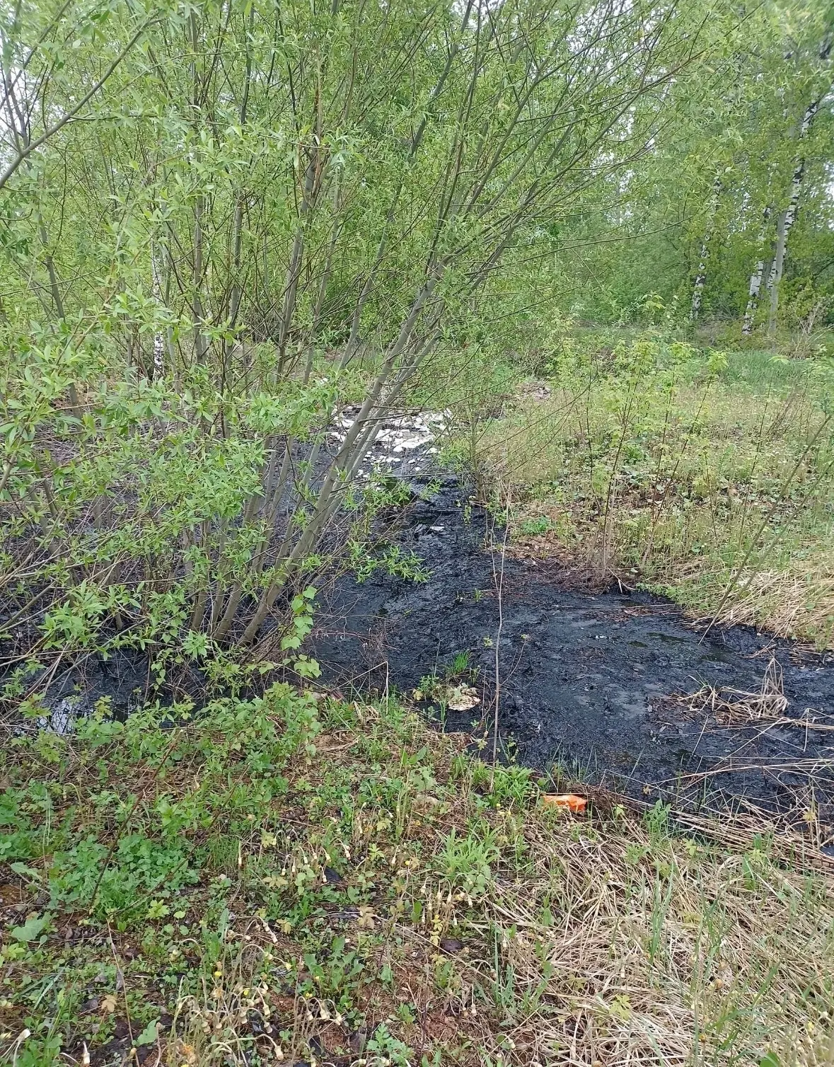 В районе ул. Магистральной г. Кстово, рядом со зданием автосервиса "Центр Замены Масла" и расположен